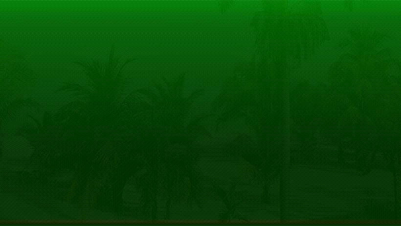 D-Town Sting - 
Jamaican culture reggae open air festival 